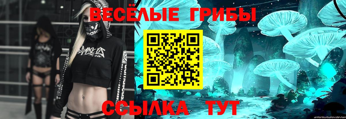 Псилоцибиновые грибы Cubensis Аксай